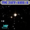 TYC 2177-1155-1