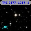TYC 2177-1217-1