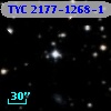 TYC 2177-1268-1