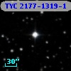 TYC 2177-1319-1