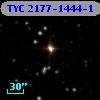 TYC 2177-1444-1