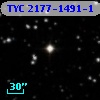 TYC 2177-1491-1