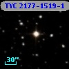 TYC 2177-1519-1