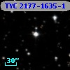 TYC 2177-1635-1