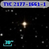 TYC 2177-1661-1