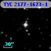 TYC 2177-1673-1