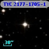 TYC 2177-1705-1