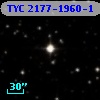 TYC 2177-1960-1