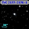 TYC 2177-2176-1