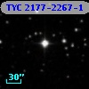 TYC 2177-2267-1