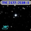 TYC 2177-2510-1