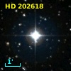 HD 202618