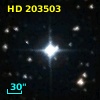 HD 203503
