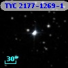 TYC 2177-1269-1