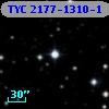 TYC 2177-1310-1