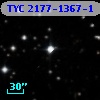 TYC 2177-1367-1