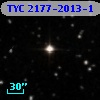 TYC 2177-2013-1