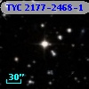 TYC 2177-2468-1