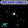 TYC 2177-2563-1