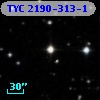 TYC 2190-313-1