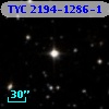 TYC 2194-1286-1