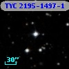 TYC 2195-1497-1