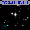 TYC 2195-1516-1