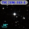 TYC 2196-313-1
