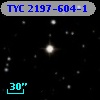 TYC 2197-604-1