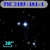 TYC 2197-181-1