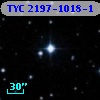 TYC 2197-1018-1