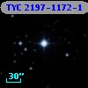 TYC 2197-1172-1
