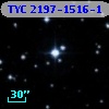 TYC 2197-1516-1