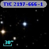 TYC 2197-666-1