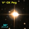 V* OX Peg