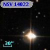 NSV 14022