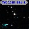 TYC 2215-981-1