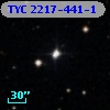 TYC 2217-441-1