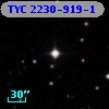 TYC 2230-919-1