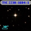 TYC 2230-1604-1