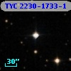 TYC 2230-1733-1