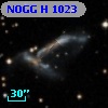 NOGG H 1023