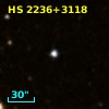 WD 2236+313