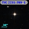 TYC 2231-709-1