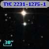 TYC 2231-1275-1