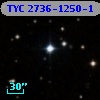 TYC 2736-1250-1