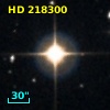 HD 218300