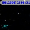[DSL2000] 2310+313