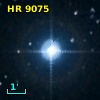 HR  9075