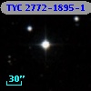 TYC 2772-1895-1
